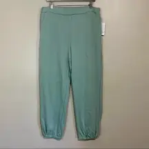 Love, Fire Women’s Elastic Waist Jogger w/ Pockets Harbor Gray Size Large NWT