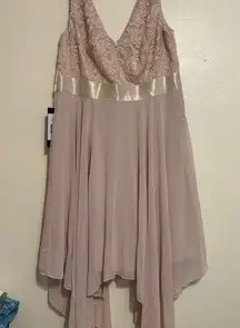 Ever Pretty Lace Midi Dress in Beige and Gold