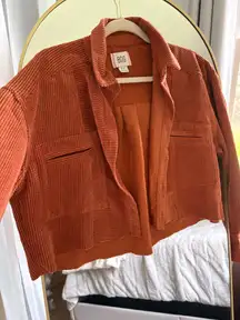 Urban Outfitters Cropped Button-Up Long Sleeve