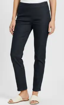 Eileen Fisher Side Zip Jean Denim Pant Size Large NWOT