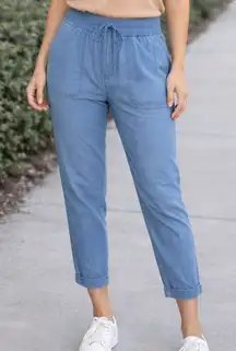 Uniqlo Ankle Crop Pants Size Small Pull On Elastic Waist Casual