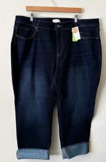 Lane Bryant Straight Hi-Rise Flex Magicband 22