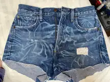 Citizens of Humanity Vintage Denim Shorts