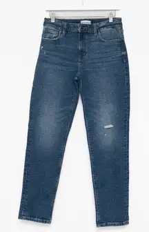 Studio Blue Stitch Fix Ernestine Skinny Jeans