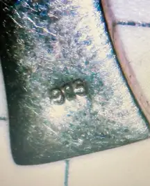 Woman’s Pink Pearl Earrings !