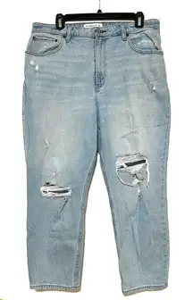 Abercrombie & Fitch Curve Love The Mom High Rise 14