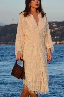 ZARA  Cream/Ivory Fringe  Sparkly Long Sleeve Midi Dress Size Medium