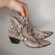 Steve Madden | Snakeskin Ankle Booties Pointed Toe 7.5