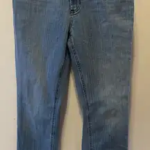 L.L. Bean Classic Blue Straight Leg Favorite Fit BeanFlex Jeans