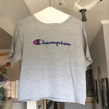 NWT Champion Cropped TShirt Sz M