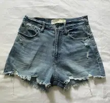 Abercrombie & Fitch Curve Love High Rise Shorts