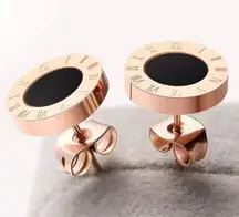 Stainless Steel Simple Statement Earring