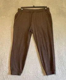 Lululemon Pants Womens Size 10 Brown Jogger Sweatpants Drawstring Gym Yoga Basic