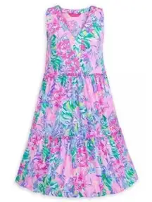 NWT Lilly Pulitzer Disney Parks Minnie Mouse and Daisy Duck V Neck Lorina Dress