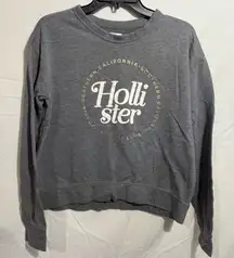 Hollister Charcoal Crewneck Sweatshirt with Gold Accents Size M