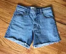 Abercrombie The Dad Denim Shorts