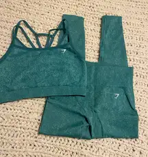 Gymshark Adapt Fleck Leggings and Sports Bra Set