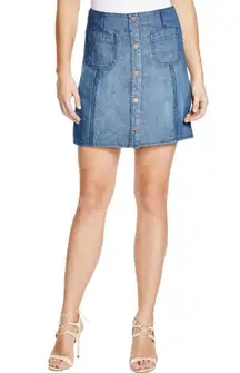 Sanctuary button front denim skirt