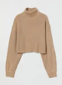 Divided Cropped Turtleneck Sweater