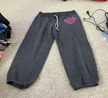 Gray sweatpants with purple logo writing never worn 