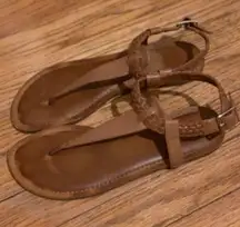 Brown Sandals