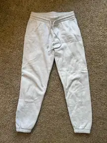 Aritzia Sweatpants TNA