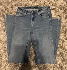 Wild Fable Flared Jeans