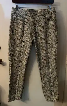 Adriano Goldschmied AG Snakeskin Mari High Rise Straight Pant 33R Plus Size