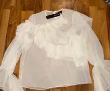 Beulah women’s sheer ruffle‎ top with wide sleeve glam going out size medium