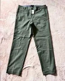 J.Jill  Pants Womens Green Cropped Wearever Caraway Woven Trouser Sz 6 Petite