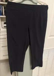 Lululemon Athletica joggers