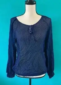 Anthropologie Ella moss silk sheer long sleeve blue blouse in size large