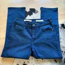 PILCRO Anthropologie High‎ Rise Bootcut Jeans Size 30