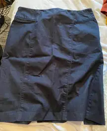 New York And Company Skirt 