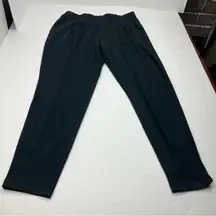 Garnet Hill Womens Size Medium Black Pull-On Pleated‎ Pants Two Pockets Stretch