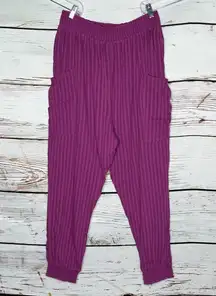 Sundance NWT Size L Purple Shadow Stripe 100% Cotton Cargo Jogger Pants