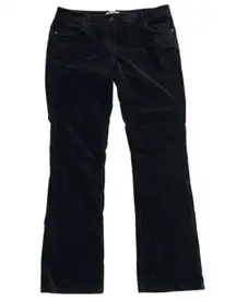 White House Black Market Noir Cordless Cordutoy Slim Leg Boot Cut Pants Size 10