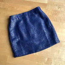 J Crew Metallic Leopard Print Mini Skirt, Navy Blue, Gold, Size 2