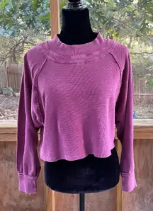 Free People We The Free Women Fun Times Turtleneck Top Purple Size S