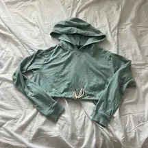 Urban outfitters crop hoodie