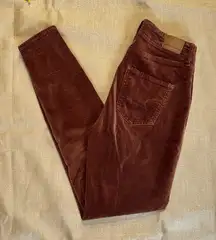American Eagle Brown Corduroy Jeggings