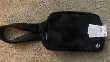 Everywhere Belt Bag