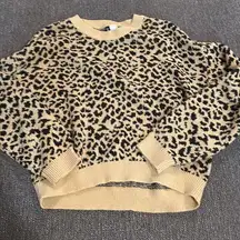 Cheetah Sweater