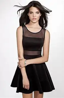 Black Mesh Dress