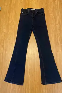 Blue Flare Jeans