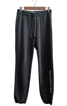 Abercrombie & Fitch Gray Spell Out Micro Fleece Jogger Small 28.5 Inch Inseam