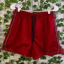 Dri-fit Shorts