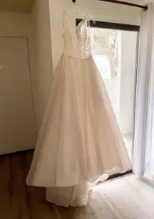 NWT ivory/champagne Lace Sheer Dress Size 10. 