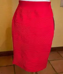 Saint Gil Paris skirt