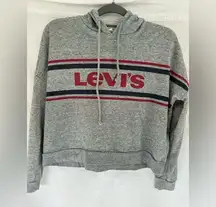 Vintage Levi hoodie